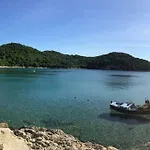 Pitarevic * Saplunara