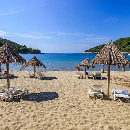 Pitarevic Lejlighed Saplunara