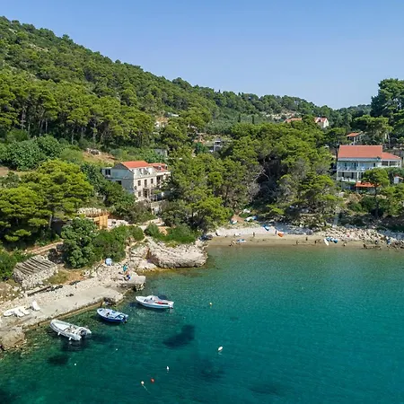 Apartman Pitarevic *