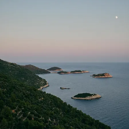 Lejlighed Pitarevic Saplunara