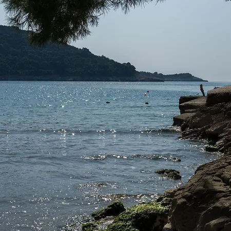 Pitarevic Apartman Saplunara