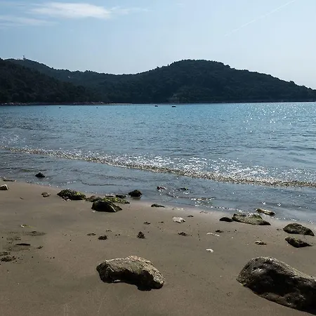 Pitarevic * Saplunara