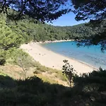 Pitarevic Saplunara