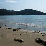 Pitarevic * Saplunara