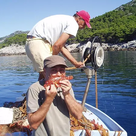 Апартаменты Pitarevic Саплунара