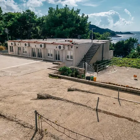 Pitarevic Apartment