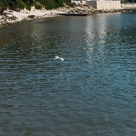 Pitarevic Apartmán Saplunara