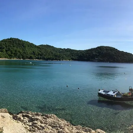 Pitarevic * Saplunara